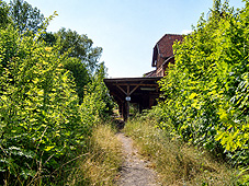 min 85 3.jpg